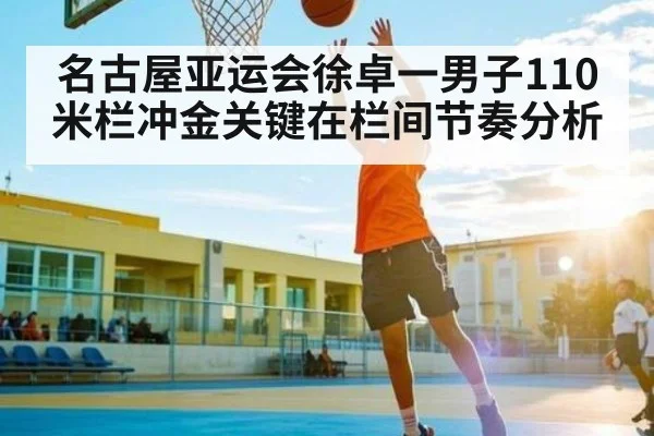 名古屋亚运会徐卓一男子110米栏冲金关键在栏间节奏分析 | kaiyun